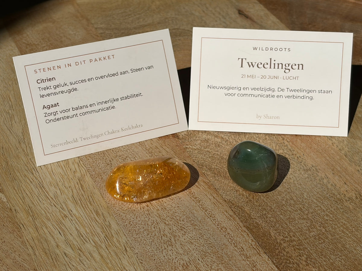 Sterrenbeeld Tweelingen