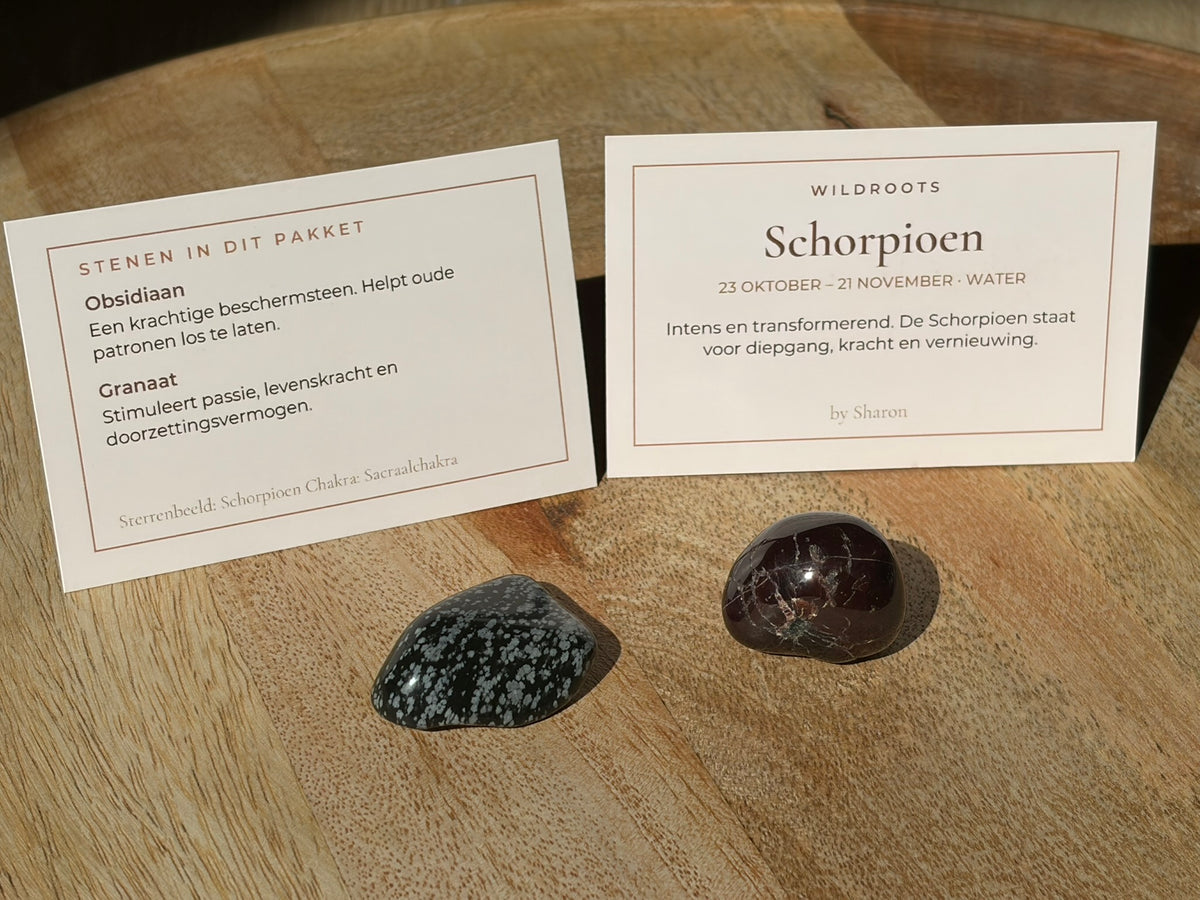 Sterrenbeeld Schorpioen